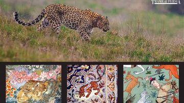 Il leopardo persiano